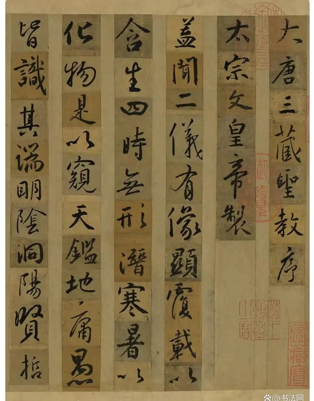 水稻之父袁隆平观后感500zi