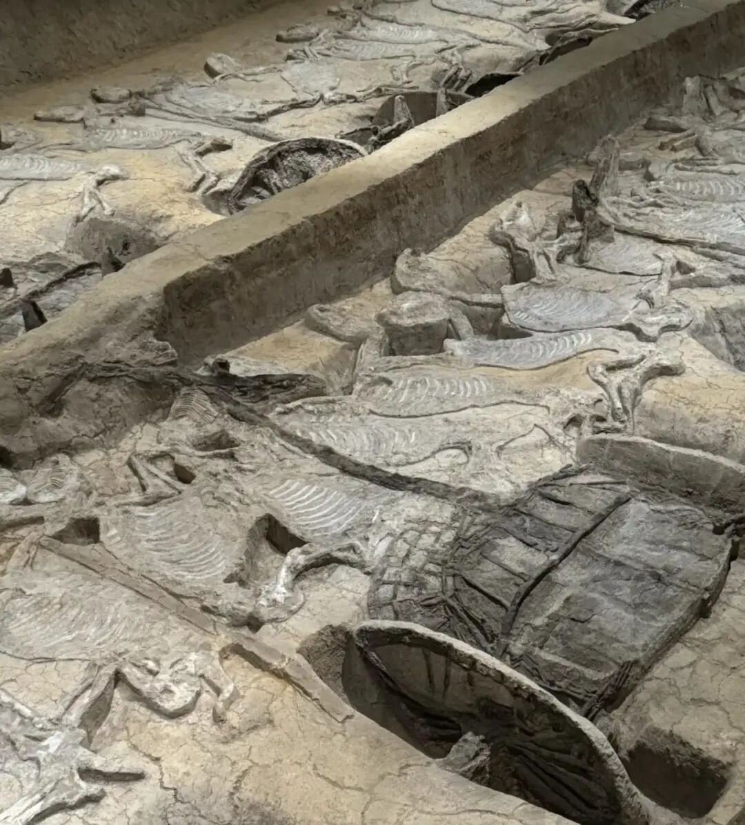 而当时的楚王只是周天子手下的一个诸侯,却有三辆"天子驾六"车,"不服