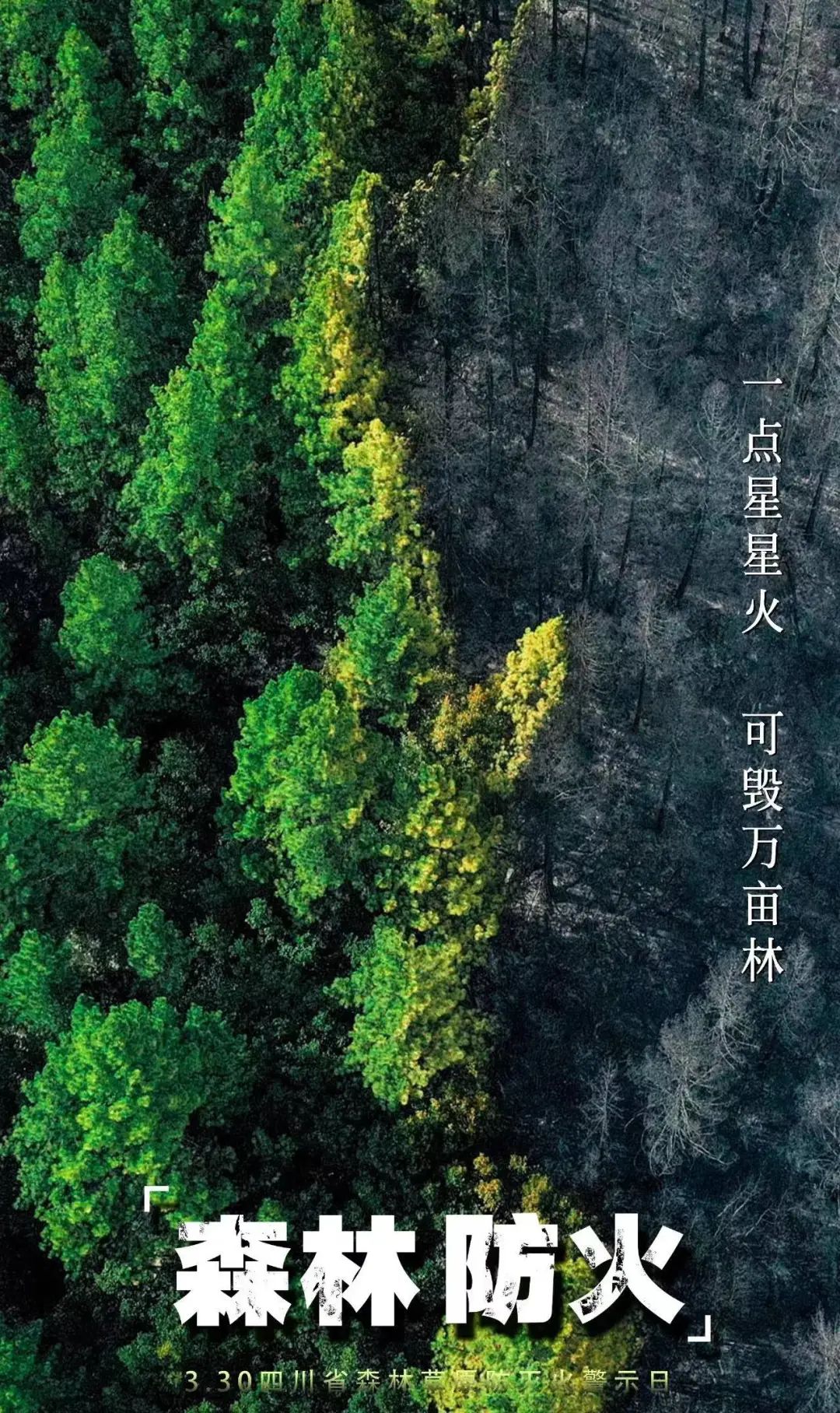 川科智能应用|森林草原防火，防患未“燃”！(图2)
