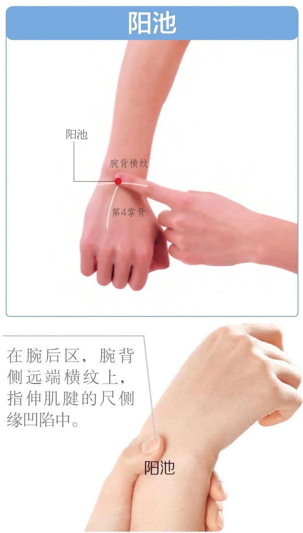 阳气不足老得快，补阳气除了艾灸，这两个穴位可以多按，果然是老祖宗的智慧！