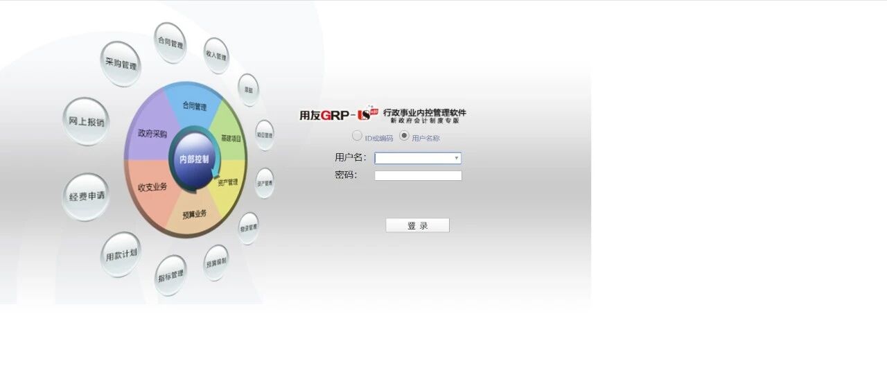 Example Image