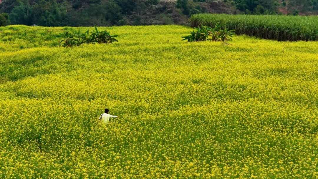 1月13日 (1)(3).jpg