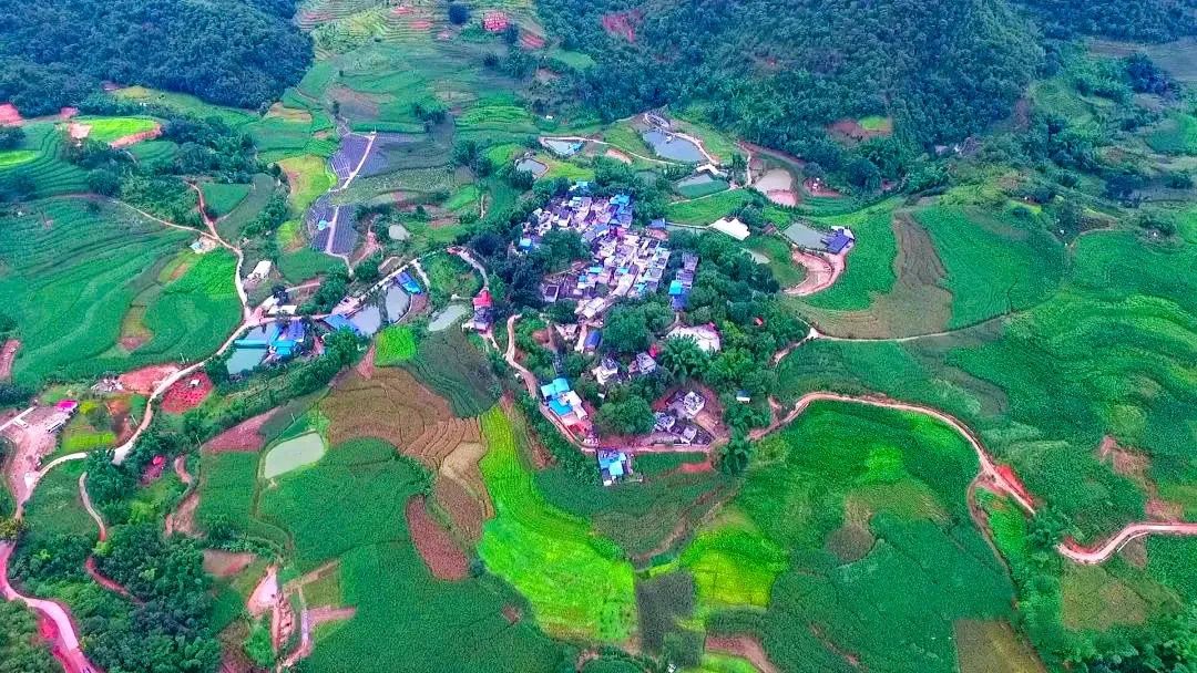 那京村 交通事故
