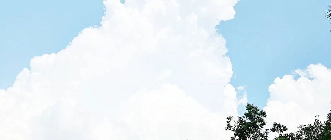 cover_image