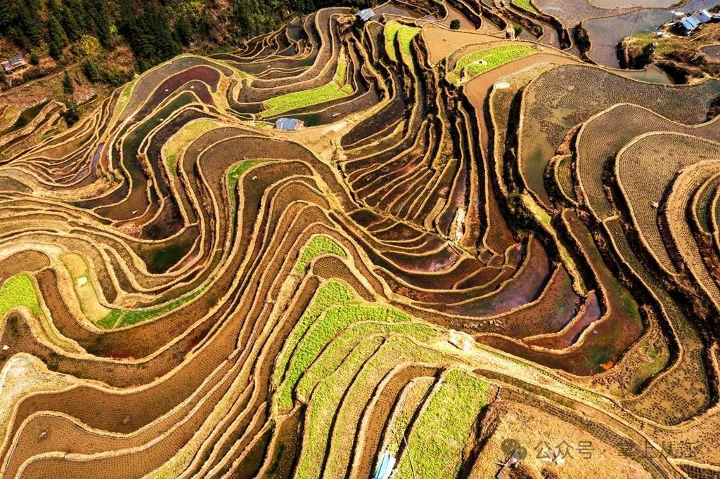 从江梯田风景图片