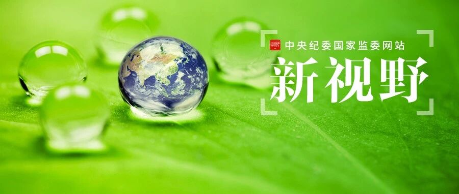 流量至上、畸形价值观......“饭圈”乱象如何治？（深度报道）