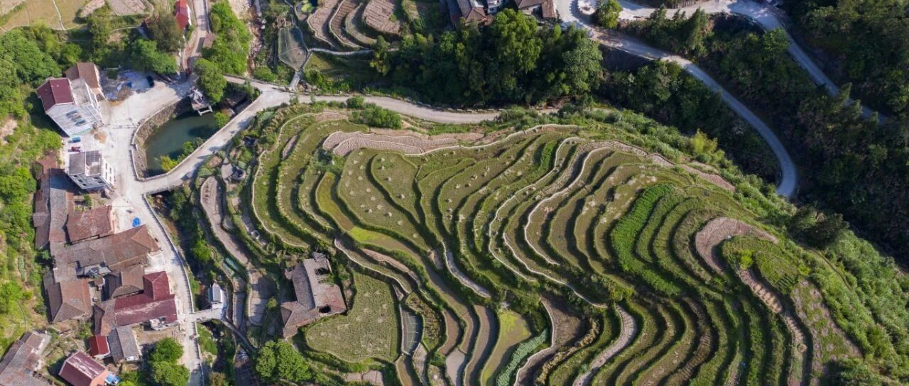 今年有望又是丰收年！粮食连年丰收，危机意识为何始终不可丢？