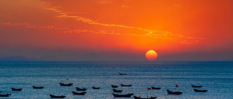 以彻底的自我革命精神锻造纪检监察铁军