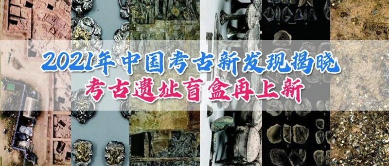 这届考古很不简单……