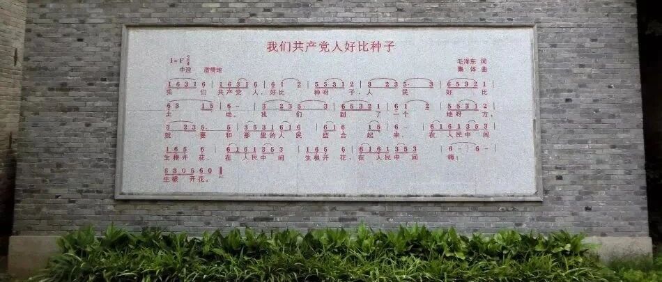 “红花的种子，撒遍各地”