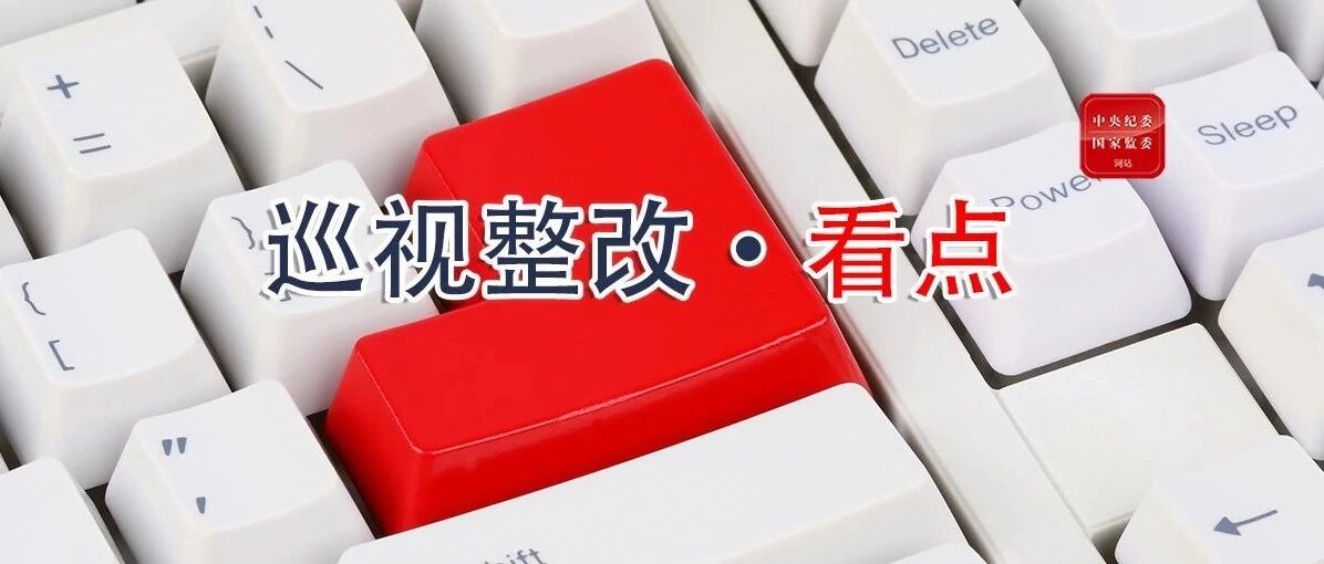 第二批来了！十九届中央第六轮巡视整改进展情况发布