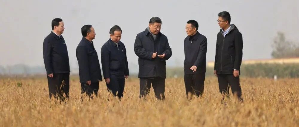 习近平继续在东营考察调研