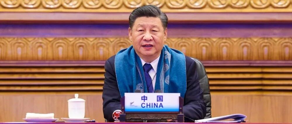 习近平出席亚太经合组织第二十八次领导人非正式会议并发表重要讲话