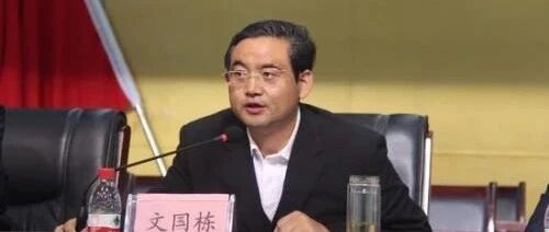 青海省副省长、海西蒙古族藏族自治州委书记、柴达木循环经济试验区党工委书记文国栋接受中央纪委国家监委审查调查