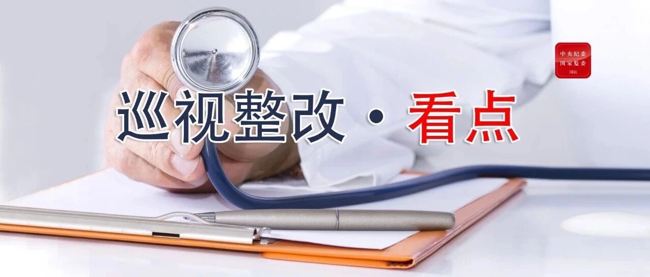 第五批来了！十九届中央第六轮巡视整改进展情况全部公布