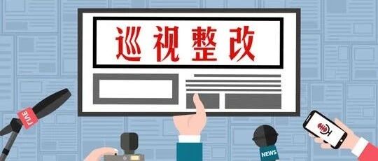 今日，12家单位通报巡视整改情况
