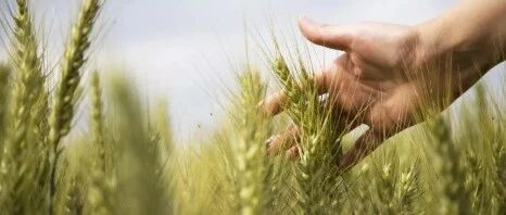 中国纪检监察报评论员文章：精准监督严格执纪 狠刹奢侈浪费歪风