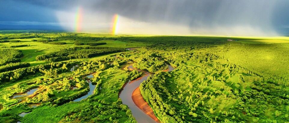 你好，绿色中国！