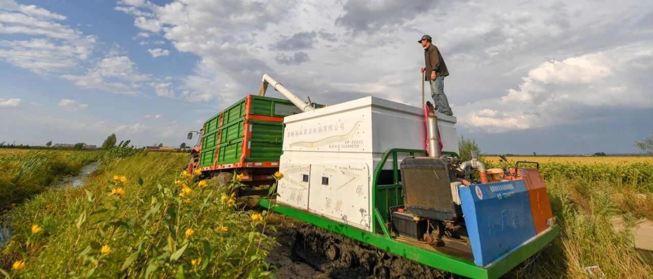 粮食领域腐败问题令人警醒，铁纪护航颗粒归仓