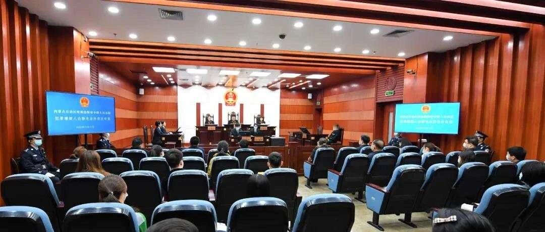 9套房产被没收，“百名红通人员”白静贪污违法所得没收案一审宣判