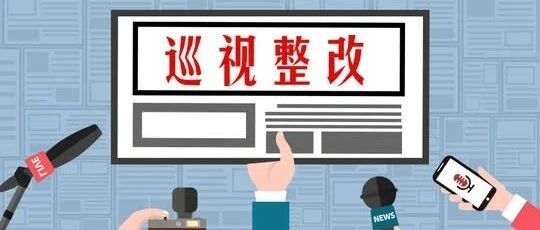 今日，13家单位通报巡视整改情况