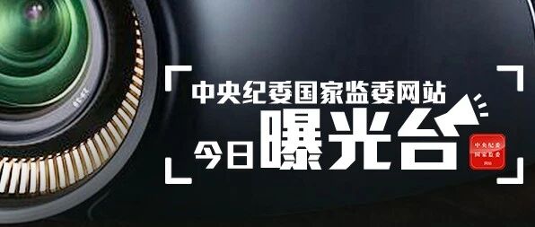 2人接受审查调查