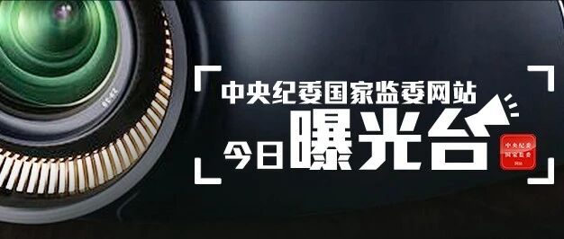21起违反中央八项规定精神问题、4起严重损害营商环境典型问题