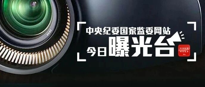 1人被查，1人被“双开”，11人因疫情防控不力被追责问责