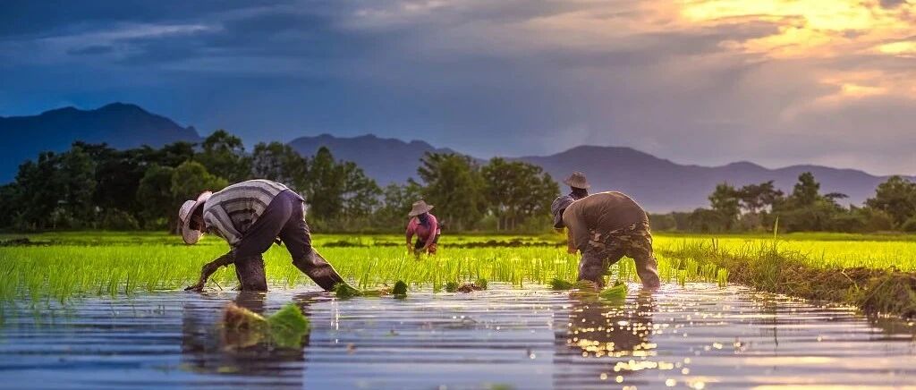 制止餐饮浪费 培养节约习惯