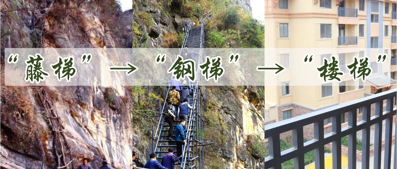 藤梯→钢梯→楼梯，“悬崖村”的路越走越宽