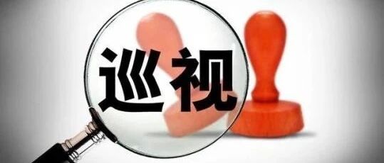 十九届中央第六轮巡视反馈来了！