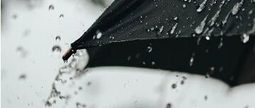 “打伞破网”公布最新战果！