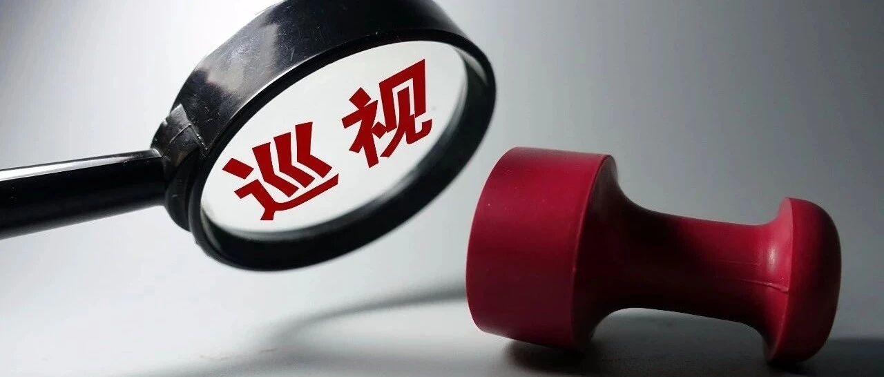 十九届中央第五轮巡视反馈情况全部公布