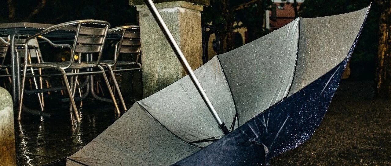 查处86人，这个黑社会性质组织在野蛮生长中有公职人员提供庇护