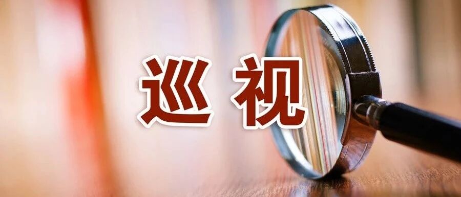 全面贯彻巡视工作方针  精准落实政治巡视要求  杨晓超出席十九届中央第六轮巡视动员部署会并讲话
