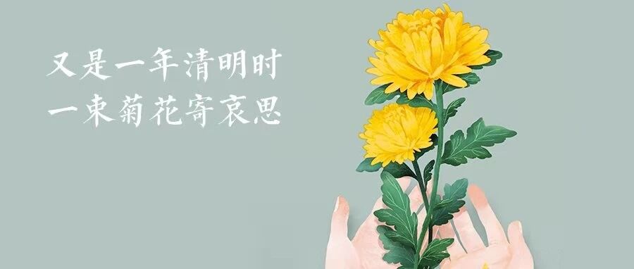 今天，让我为您献上一束花