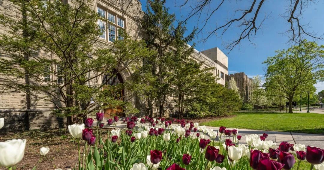 640 - 2025-05-22T114049.559.jpg