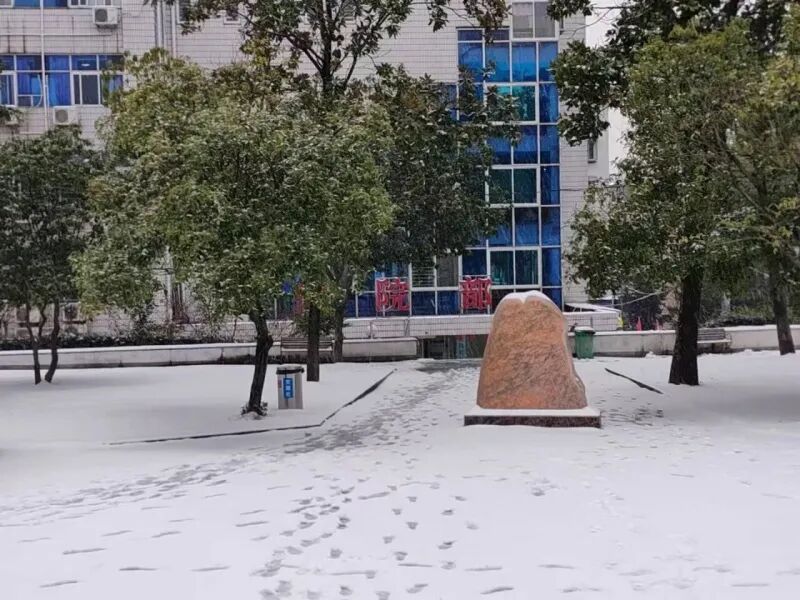 【心系患者，情暖雪天】我院干部员工铲雪除冰，为患者安全出行保驾护航