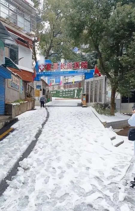 【心系患者，情暖雪天】我院干部员工铲雪除冰，为患者安全出行保驾护航