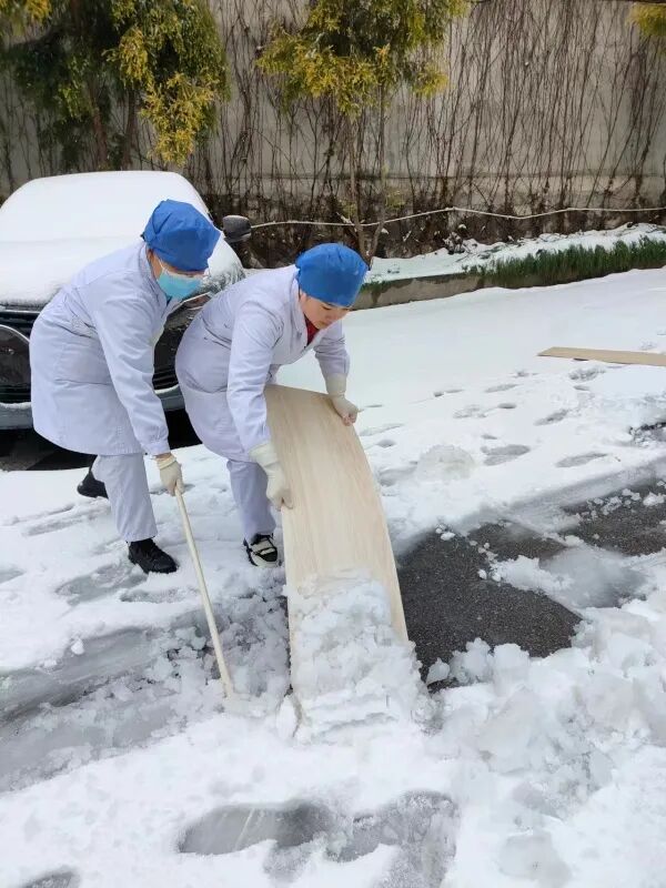 【心系患者，情暖雪天】我院干部员工铲雪除冰，为患者安全出行保驾护航