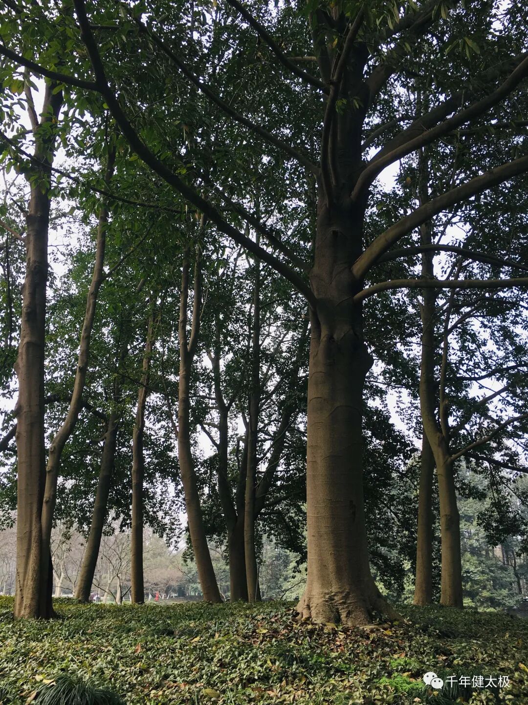 为什么你会“阳气不足”？原来是这五个窟窿漏掉了