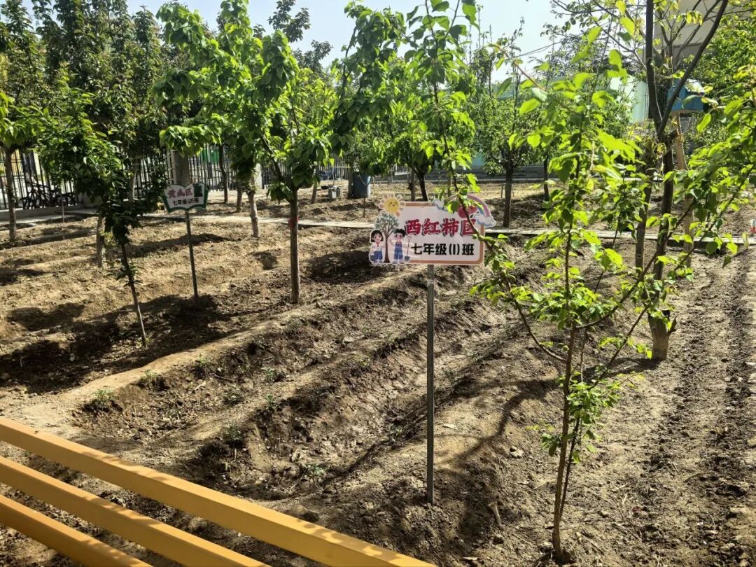 校际交流 | 跨越山河研教艺 携手湘吐育芳华——湘潭市益智中学赴疆开展学习交流活动