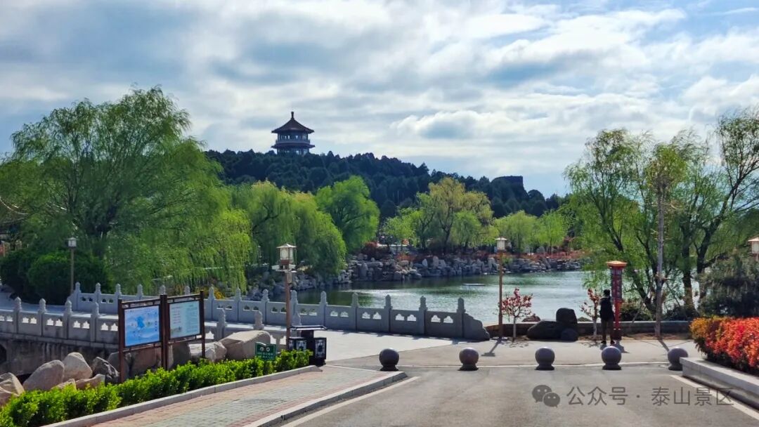 组图丨春芳满园四月的泰安虎山如同打翻了调色盘