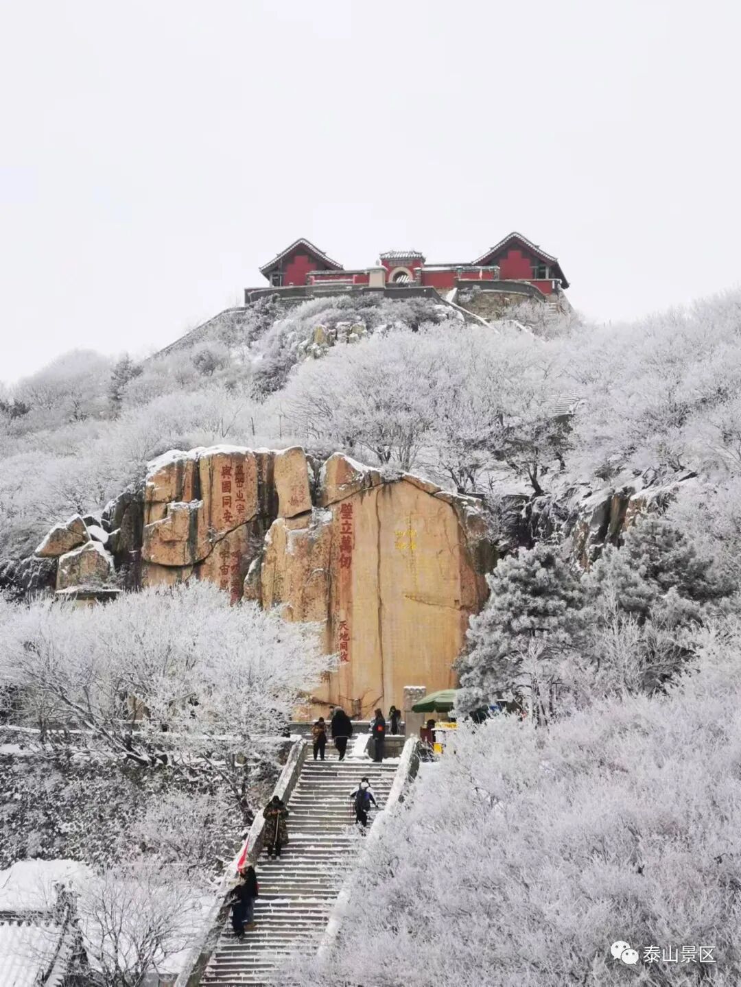 齐鲁网·闪电新闻11月13日讯雪后初霁 ,泰山覆银霜.