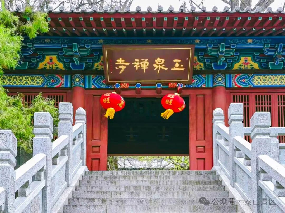 泰安>泰安民生>山中的春色总是慢了那么一拍,但四月的玉泉寺景区内