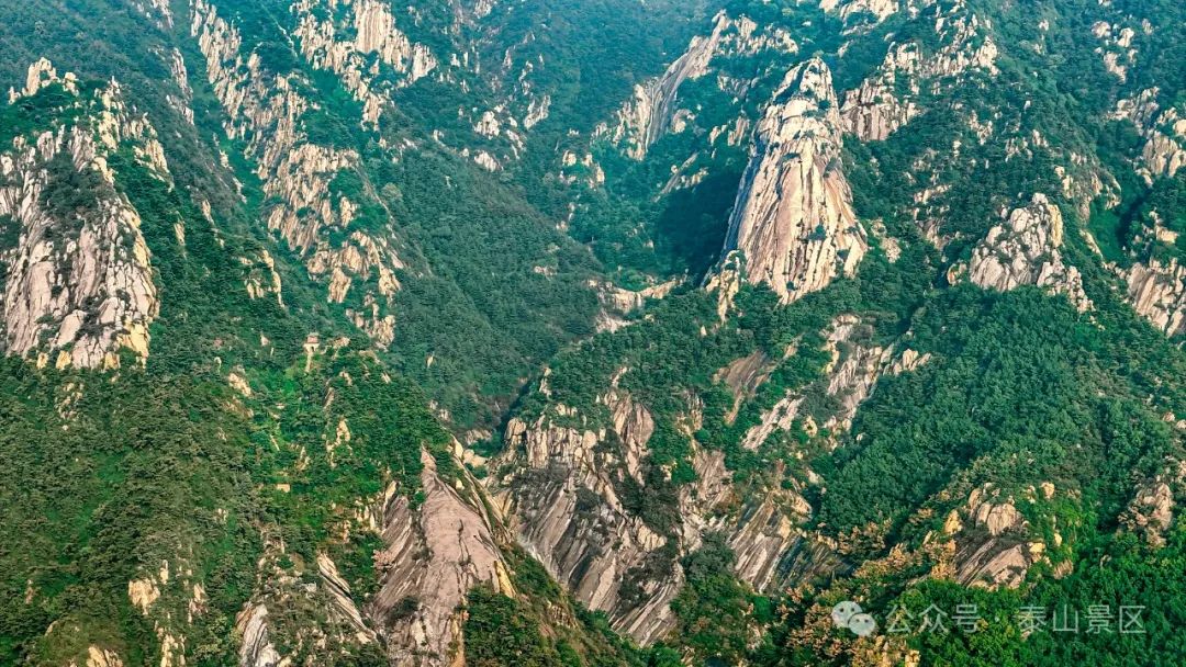 组图丨雨后泰山:峰峦如洗 青山叠翠 溪水淙淙