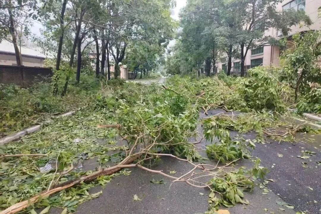 微信图片_2026-08-27_083757_289.jpg