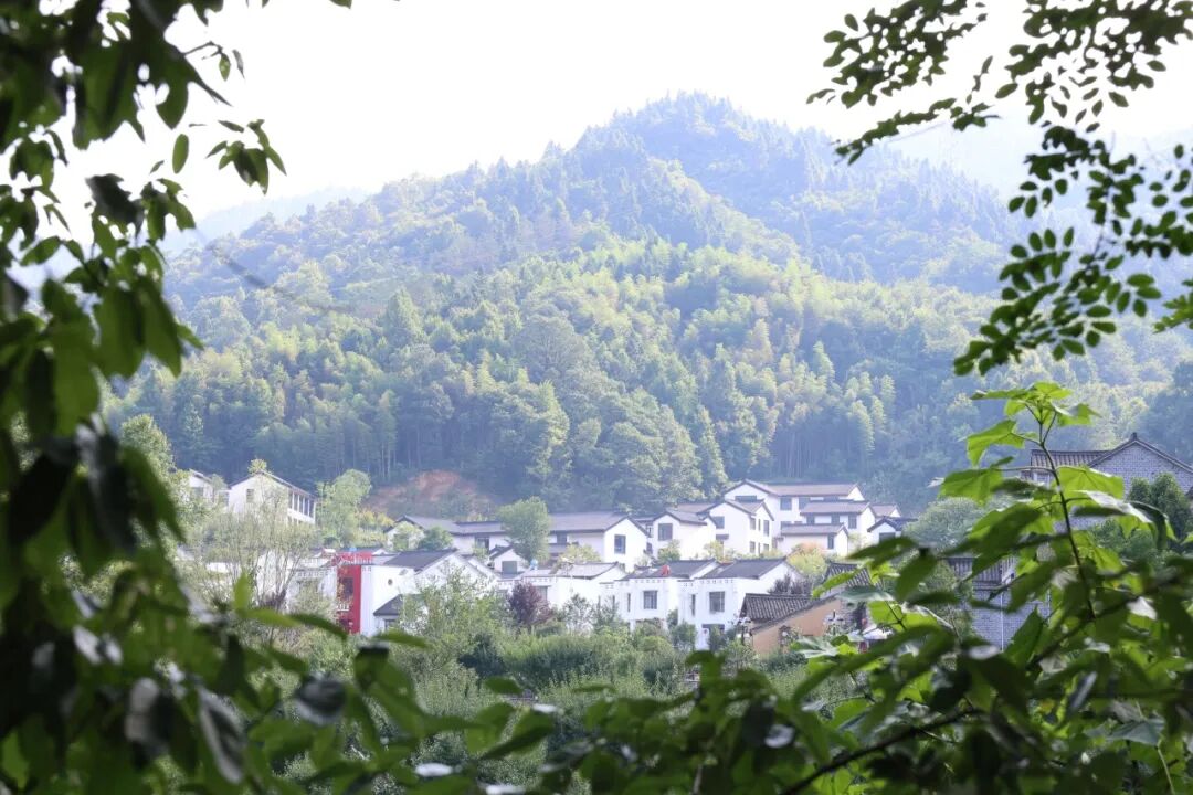 微信图片_2026-09-22_101416_054.jpg