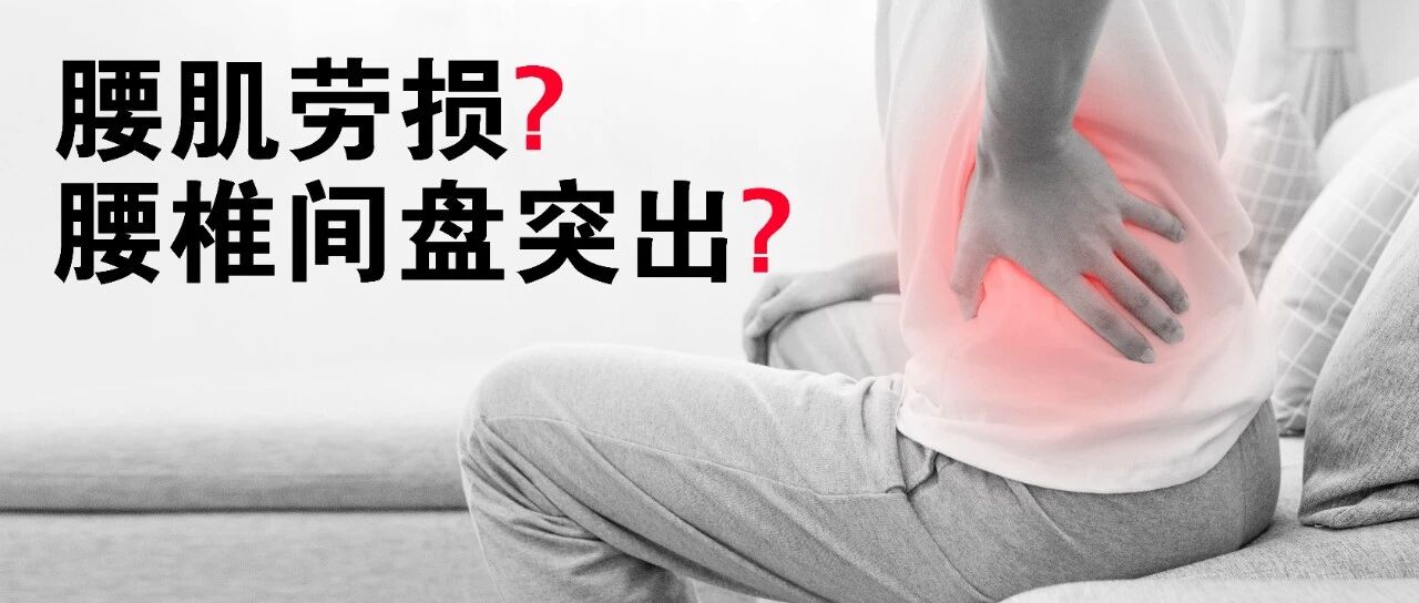 专家支招 | 久坐之后腰背经常疼，如何区分腰肌劳损还是腰椎间盘突出？
