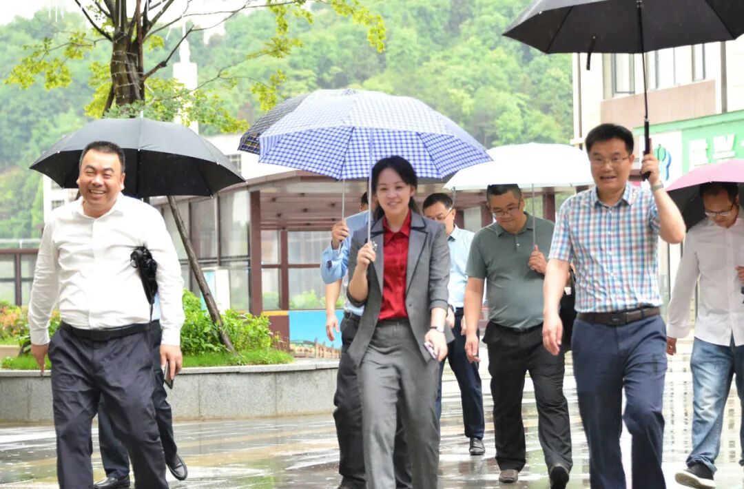 促发展惠民生陈钰滢调度重点项目建设